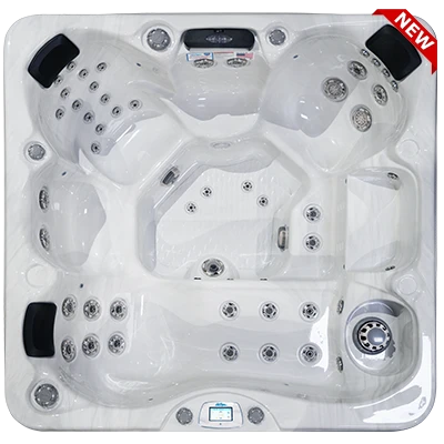 Avalon-X EC-849LX hot tubs for sale in Nashville Davidson